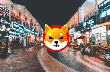 shiba inu