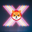 shiba inu brand