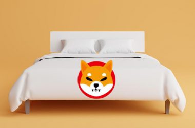 American Mattress Store Beds to Go Accepts Shiba Inu as Payment