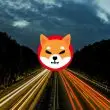 shiba inu price