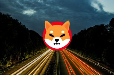shiba inu price