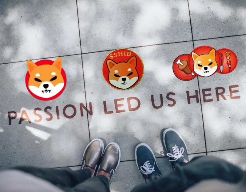 shiba inu shib twitter community