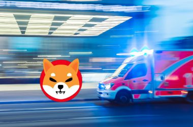 shiba inu turkey vita plus ambulance