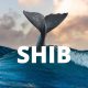 shiba inu whale