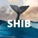 shiba inu whale