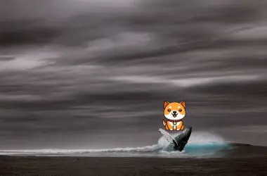 BabyDoge