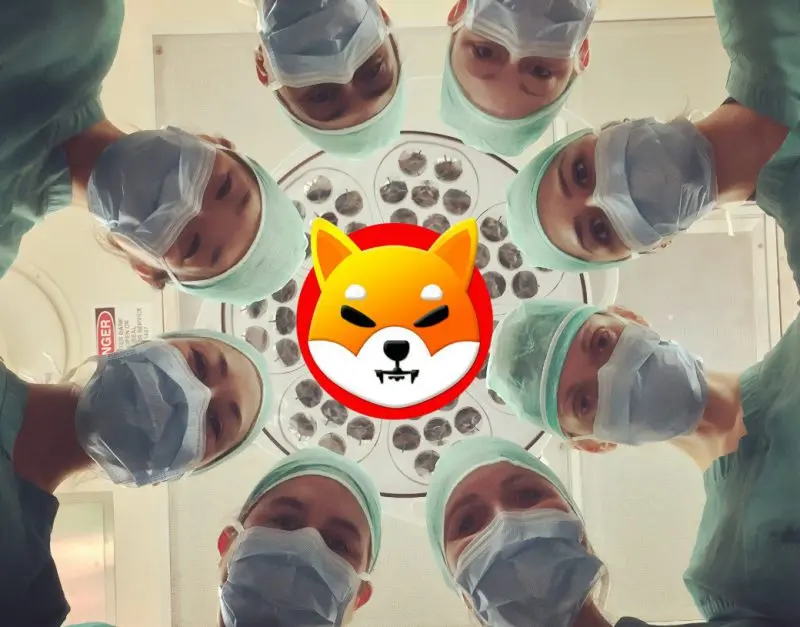 venezuelan doctor jose accepts shiba inu as payment