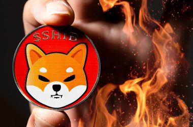 Shiba Inu: Massive Burn Soon as Metaverse and Robinhood Listing Rocket