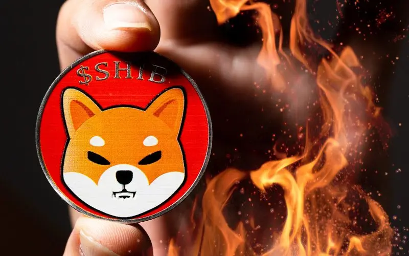 Shiba Inu: Massive Burn Soon as Metaverse and Robinhood Listing Rocket