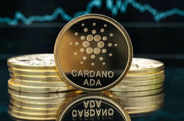 Cardano