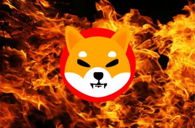 Shiba Inu: 1.4 Billion SHIB Burned in 24 Hours, Hits 26,000% Burn Rate