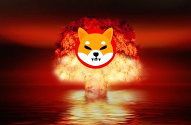 Shiba Inu: Several Major Projects to Be Deployed Soon