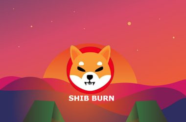 Shiba Inu SHIB Burn