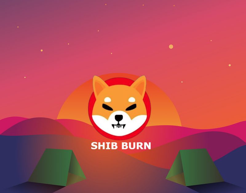 Shiba Inu SHIB Burn