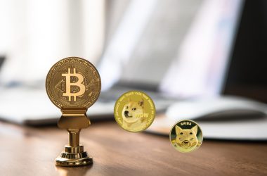 Bitcoin Plummets to Its Month Low; Dogecoin and Shiba Inu Drop By 5%