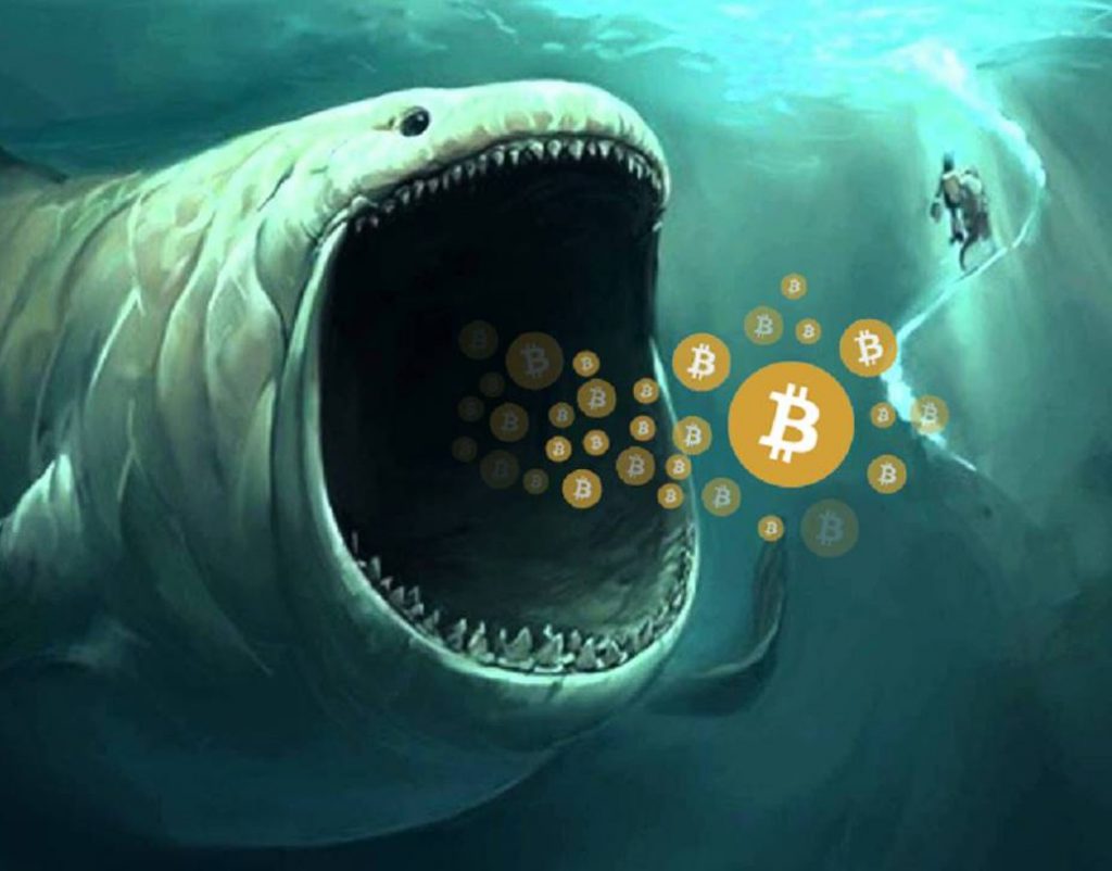 Bitcoin Whale Moves $11 Million After Sleeping For 12 Years