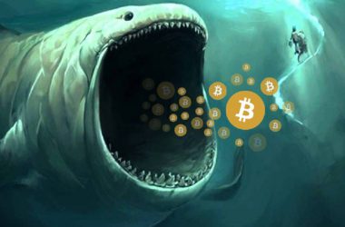 Bitcoin whale BTC