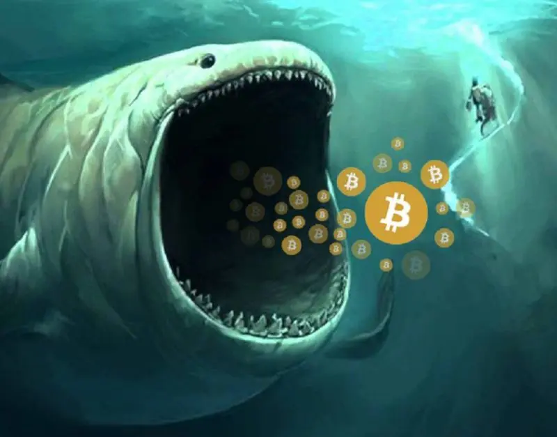 Bitcoin whale BTC