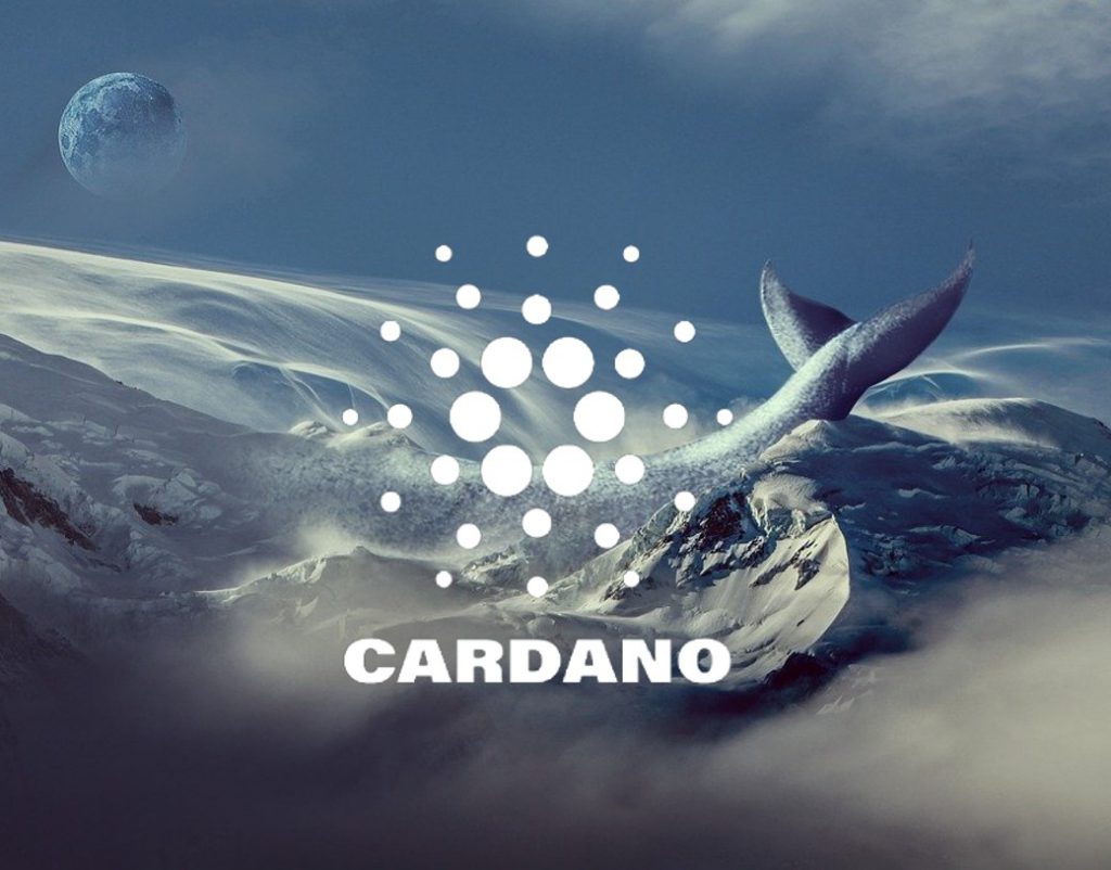 cardano ada whale