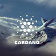 cardano ada whale