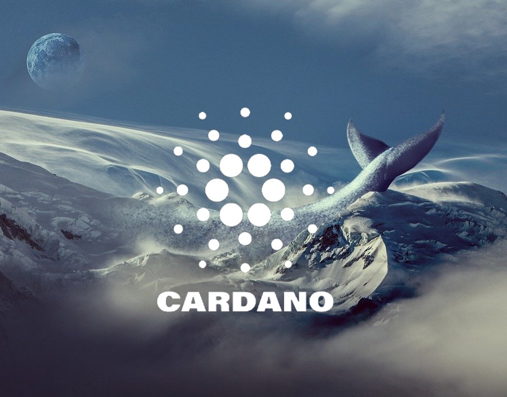 Cardano: ADA Expected to Plummet 41% From its Current Levels of $0.31?
