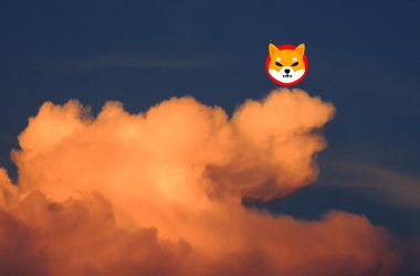 Shiba inu