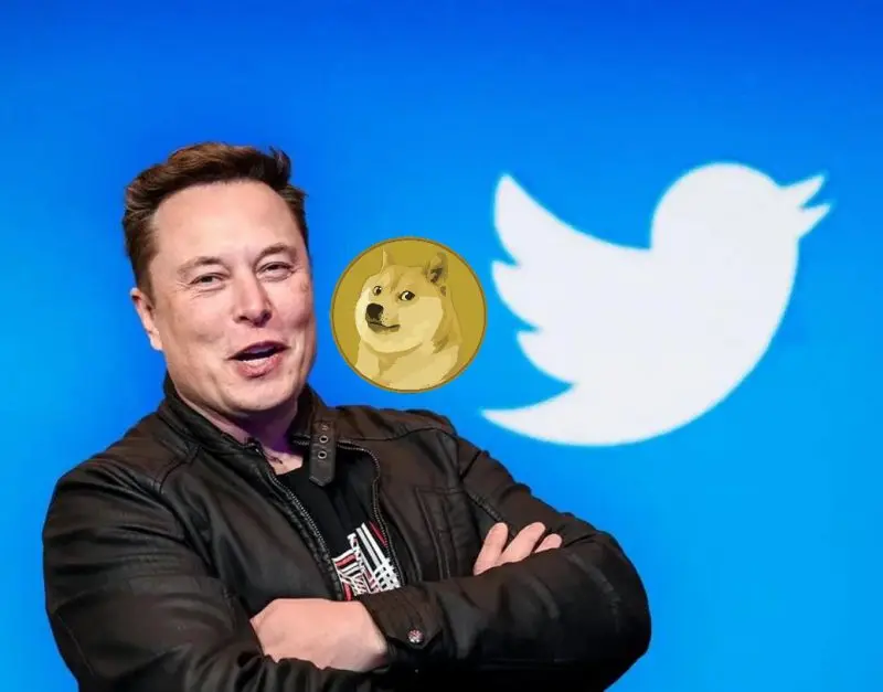 elon musk dogecoin twitter