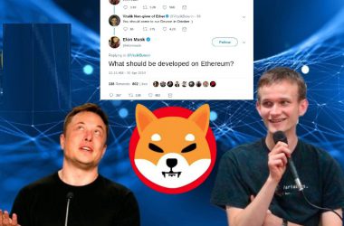 elon musk vitalik buterin founders of Shiba Inu token