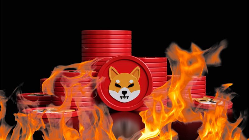 Here’s Why the Shiba Inu Burn Port Could Lead To 100x Gains