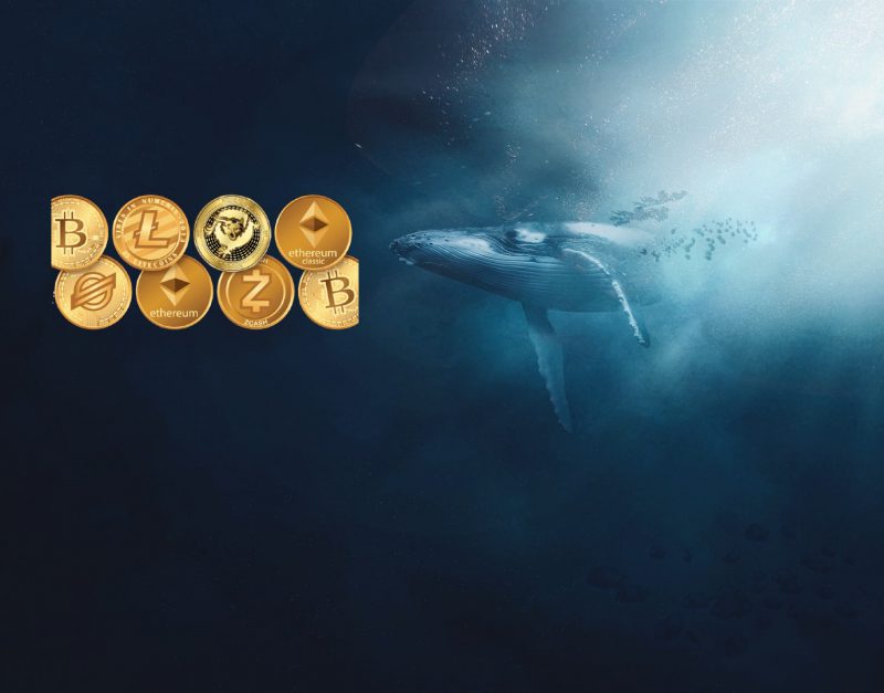 Here's the Top 3 Cryptos Whales Are After this Week