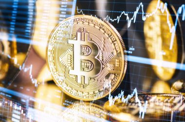 Despite Bearish Market, 75% Of Bitcoin Wallet Holders Are in Green