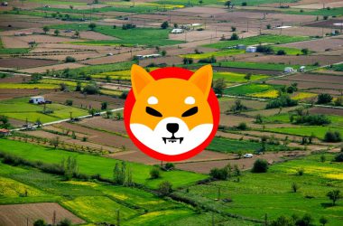 Shiba Inu