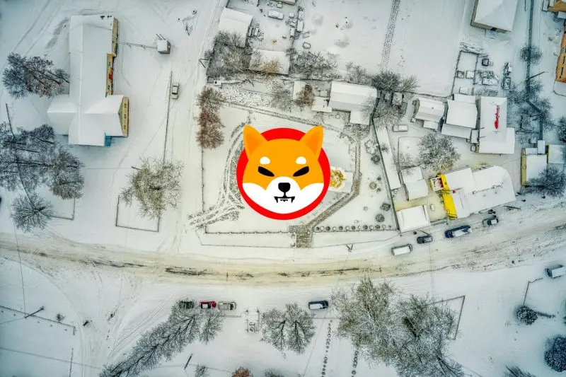 Shiba Inu