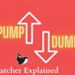 pump and dump scheme watcher guru explained