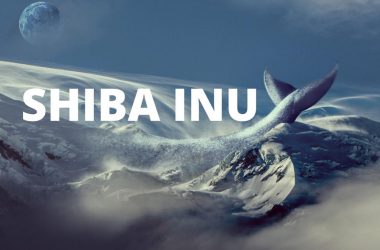 shib whales