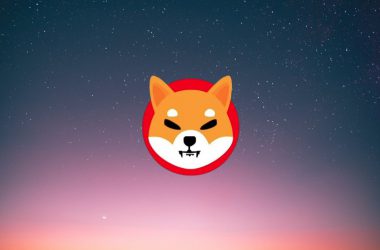 shiba inu