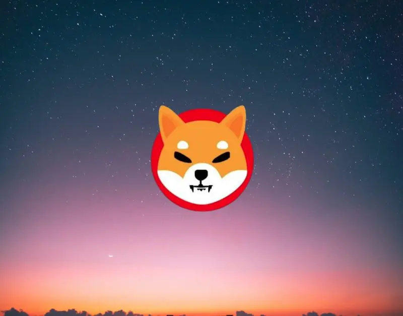 shiba inu