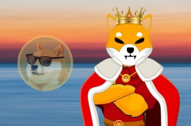 Shiba Inu beats Dogecoin in Twitter followers