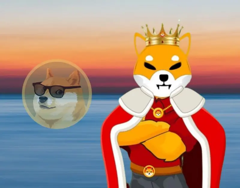 Shiba Inu beats Dogecoin in Twitter followers