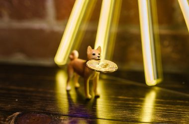 Shiba Inu Bitcoin