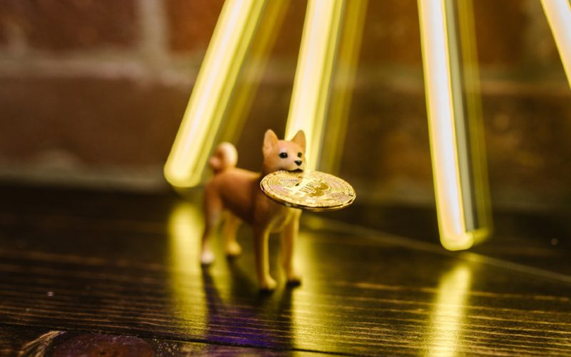 Shiba Inu Bitcoin