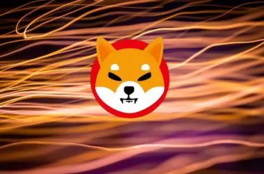 shiba inu burn portal