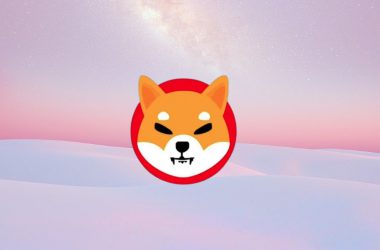 shiba inu coin token