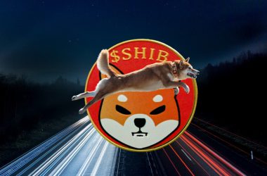 shiba inu