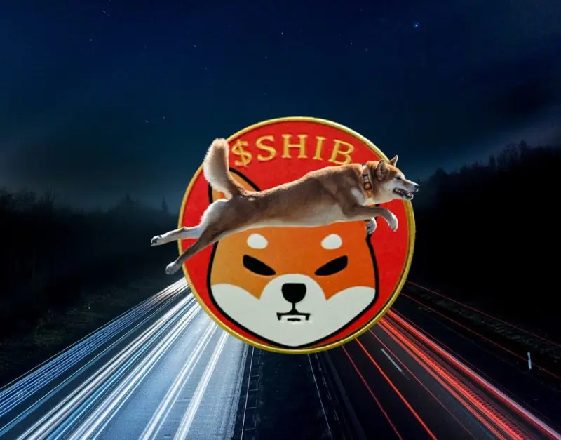 shiba inu