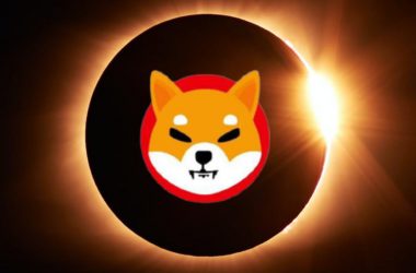 shiba inu utility use case
