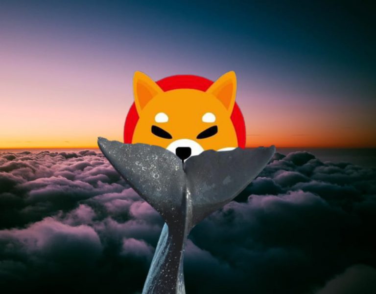 Shiba Inu: Whale Moves 3.3 Trillion SHIB Before Shibarium Launch