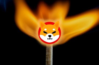 A Mysterious Wallet Burns Over 10 Billion Shiba Inu in a Single Transaction