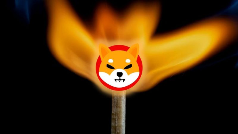 A Mysterious Wallet Burns Over 10 Billion Shiba Inu in a Single Transaction