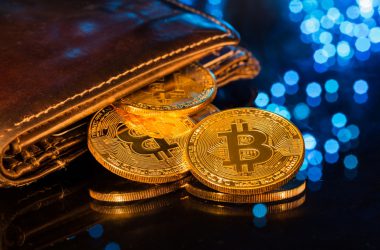 Number of Addresses Holding at Least 1 Bitcoin Has Reached an All-Time High of 836,922